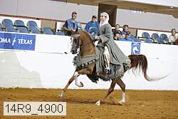 14r9_4900 thumbnail