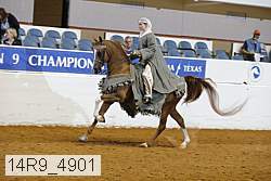 14r9_4901 thumbnail