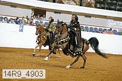 14r9_4903 thumbnail