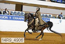 14r9_4906 thumbnail