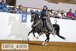 14r9_4908 thumbnail