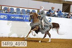 14r9_4910 thumbnail