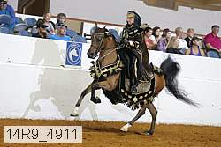 14r9_4911 thumbnail