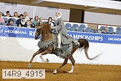 14r9_4915 thumbnail