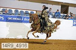 14r9_4916 thumbnail