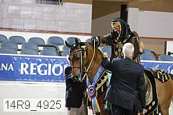 14r9_4925 thumbnail