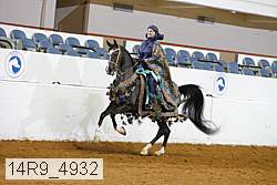 14r9_4932 thumbnail