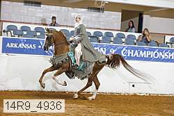 14r9_4936 thumbnail