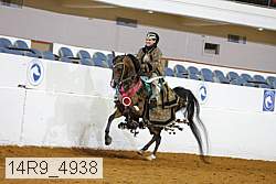 14r9_4938 thumbnail