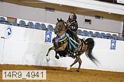 14r9_4941 thumbnail