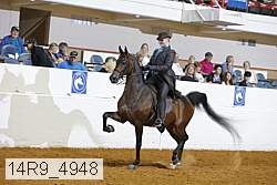 14r9_4948 thumbnail