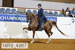 14r9_4967 thumbnail