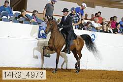 14r9_4973 thumbnail