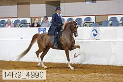 14r9_4990 thumbnail
