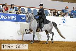 14r9_5051 thumbnail