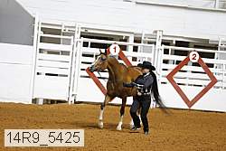 14r9_5425 thumbnail
