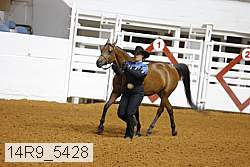 14r9_5428 thumbnail