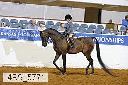 14r9_5771 thumbnail