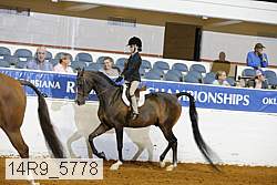 14r9_5778 thumbnail