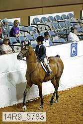 14r9_5783 thumbnail