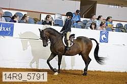 14r9_5791 thumbnail