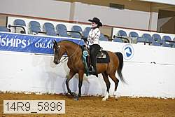 14r9_5896 thumbnail