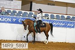 14r9_5897 thumbnail