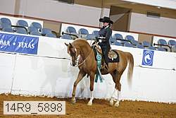 14r9_5898 thumbnail