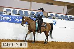 14r9_5901 thumbnail