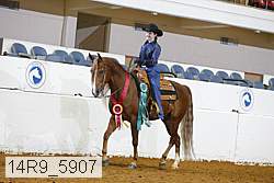 14r9_5907 thumbnail