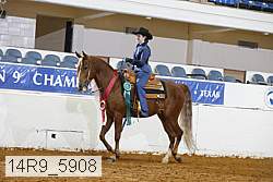 14r9_5908 thumbnail