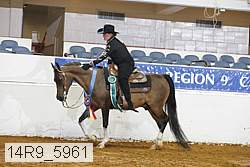14r9_5961 thumbnail
