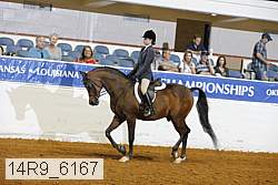 14r9_6167 thumbnail