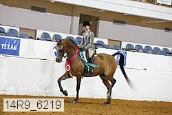 14r9_6219 thumbnail