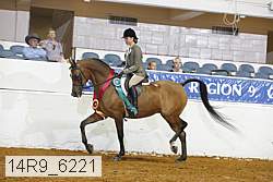 14r9_6221 thumbnail