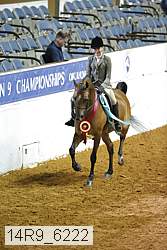 14r9_6222 thumbnail