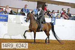 14r9_6242 thumbnail
