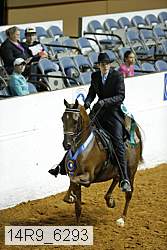 14r9_6293 thumbnail