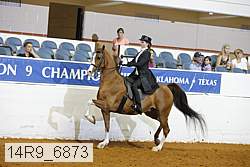 14r9_6873 thumbnail