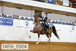 14r9_6904 thumbnail