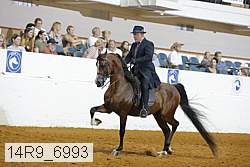 14r9_6993 thumbnail