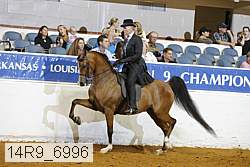 14r9_6996 thumbnail