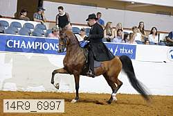 14r9_6997 thumbnail