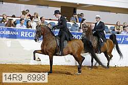 14r9_6998 thumbnail