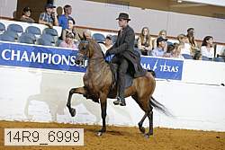 14r9_6999 thumbnail