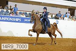 14r9_7000 thumbnail
