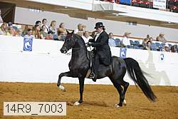 14r9_7003 thumbnail