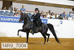 14r9_7004 thumbnail