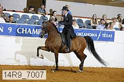 14r9_7007 thumbnail