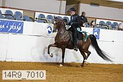 14r9_7010 thumbnail